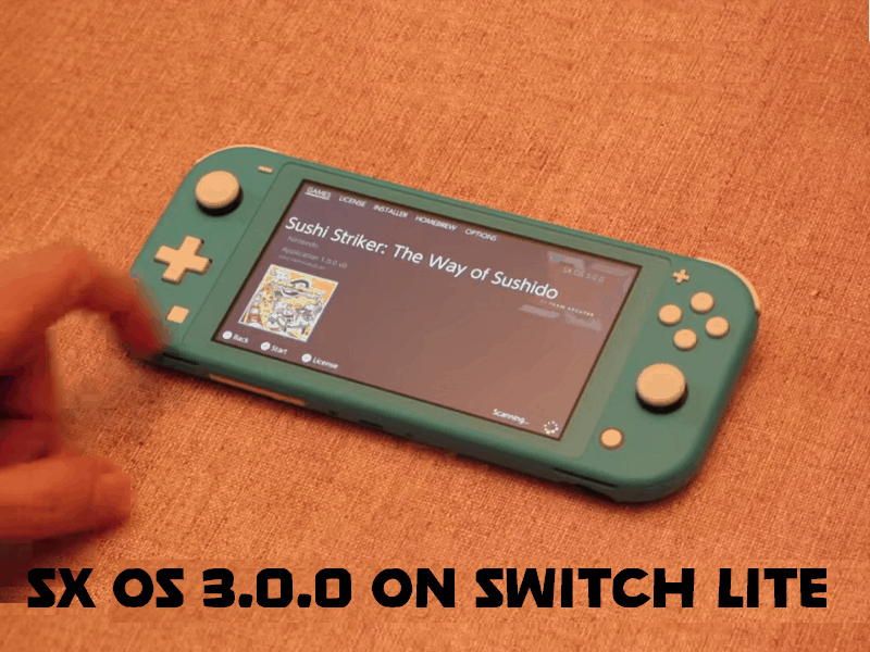SX OS 3.0.0 Shown Off...For Nintendo Switch Lite! Hackinformer